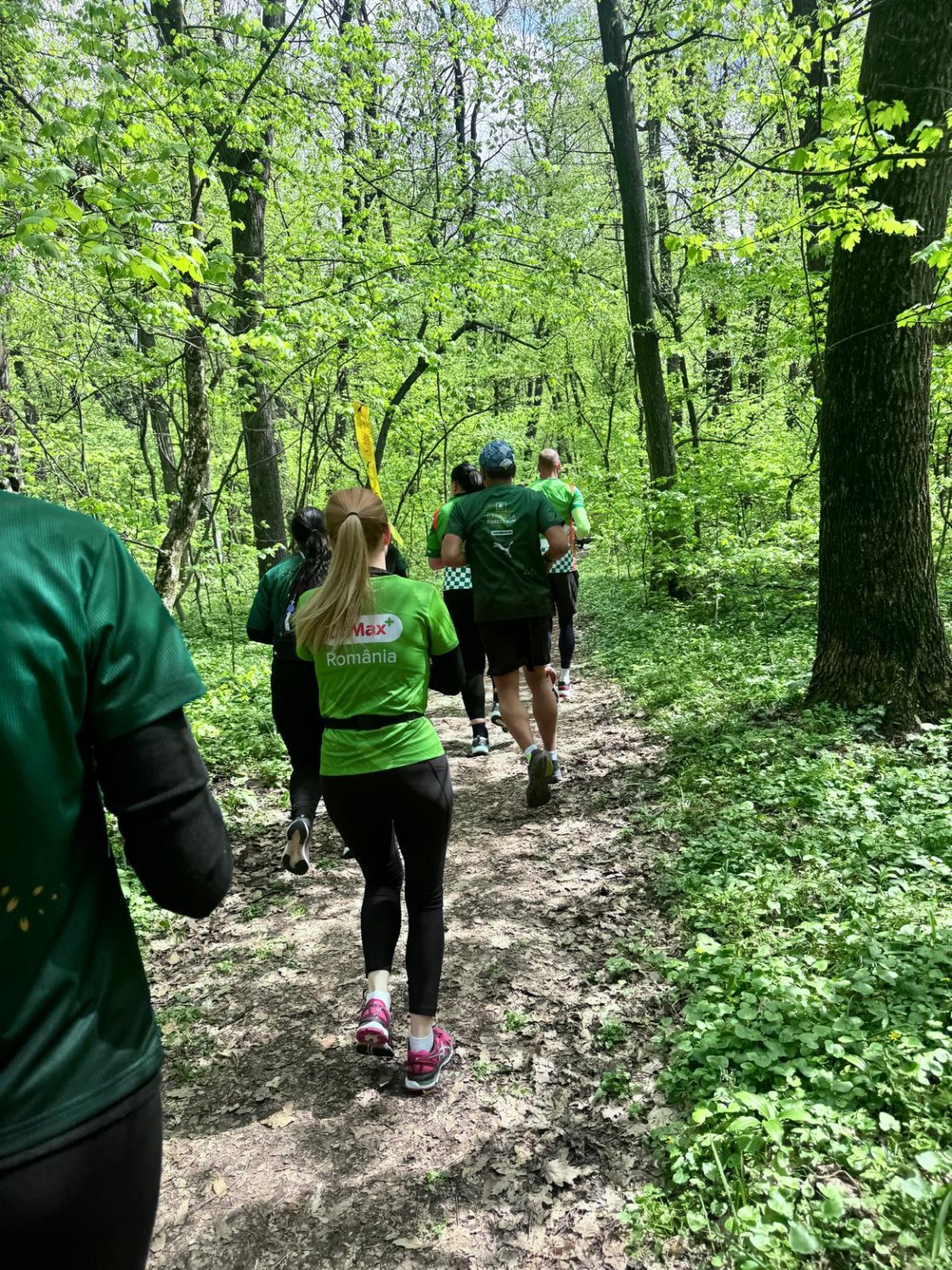 Dr. Max Maraton Forest